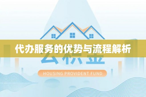 凤山代办服务的优势与流程解析