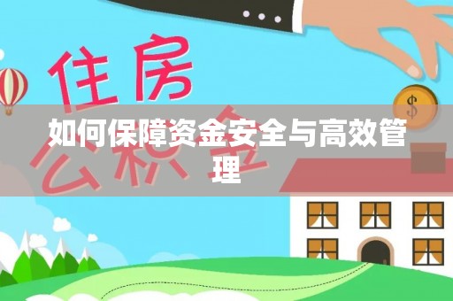 凤山如何保障资金安全与高效管理