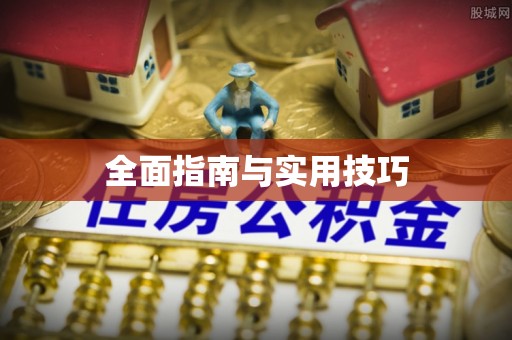 凤山全面指南与实用技巧