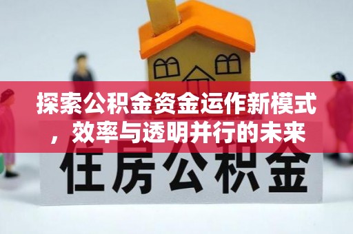 凤山探索公积金资金运作新模式，效率与透明并行的未来