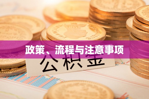 凤山政策、流程与注意事项