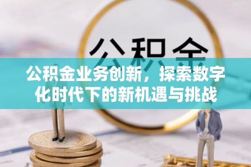 凤山公积金业务创新，探索数字化时代下的新机遇与挑战