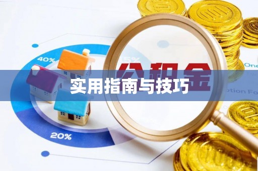 凤山实用指南与技巧