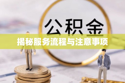 凤山揭秘服务流程与注意事项