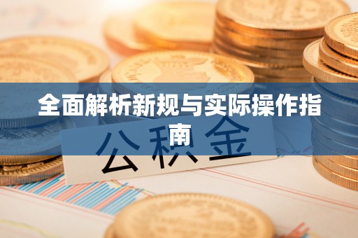 凤山全面解析新规与实际操作指南