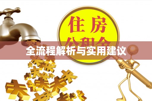 凤山全流程解析与实用建议