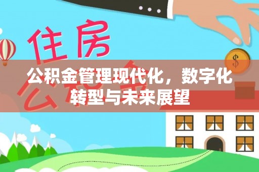 凤山公积金管理现代化，数字化转型与未来展望