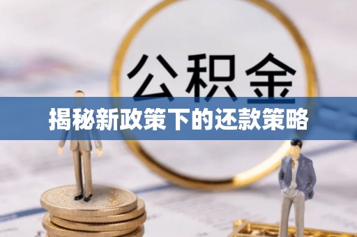 凤山揭秘新政策下的还款策略