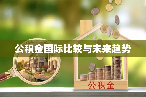 凤山公积金国际比较与未来趋势