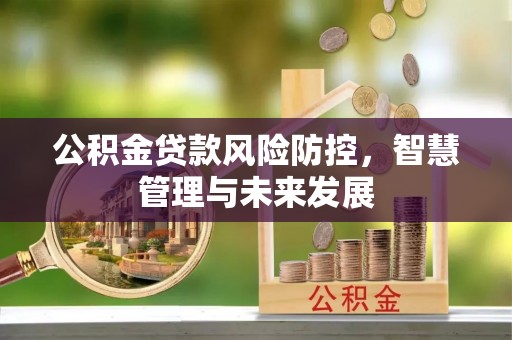 凤山公积金贷款风险防控，智慧管理与未来发展