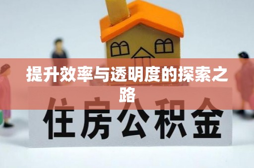 凤山提升效率与透明度的探索之路