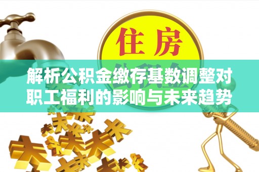 凤山解析公积金缴存基数调整对职工福利的影响与未来趋势