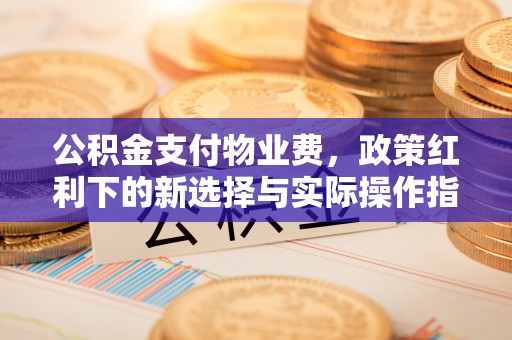 凤山公积金支付物业费，政策红利下的新选择与实际操作指南