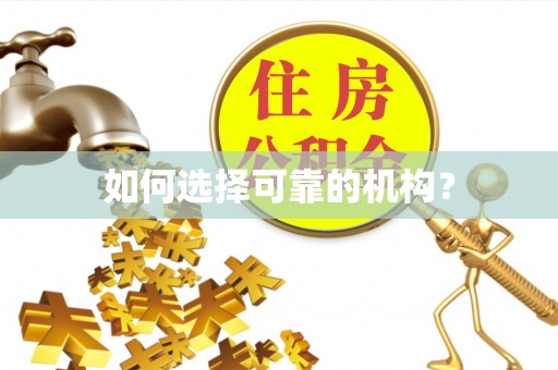 凤山如何选择可靠的机构？