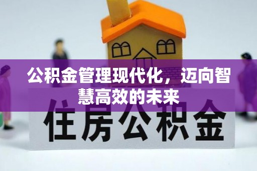 凤山公积金管理现代化，迈向智慧高效的未来