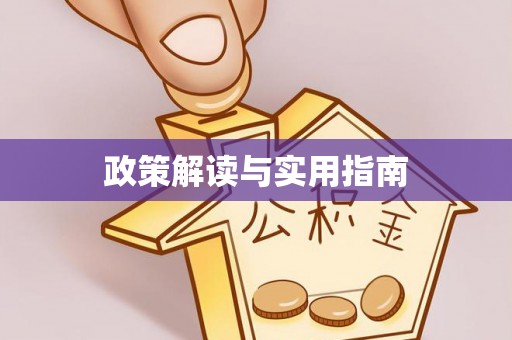 凤山政策解读与实用指南