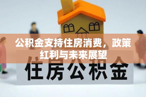 凤山公积金支持住房消费，政策红利与未来展望