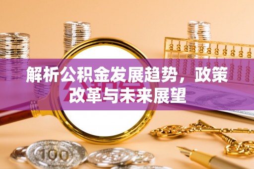 凤山解析公积金发展趋势，政策改革与未来展望