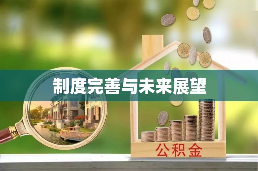 凤山制度完善与未来展望