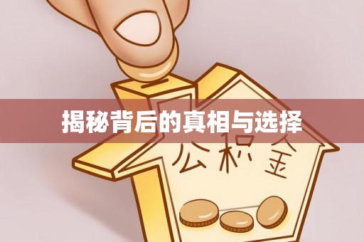 凤山揭秘背后的真相与选择