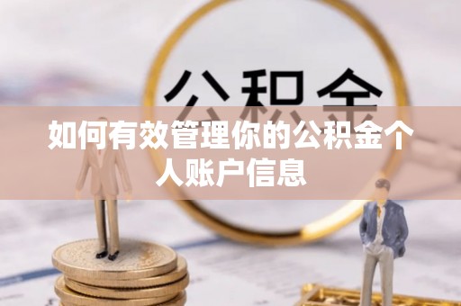 凤山如何有效管理你的公积金个人账户信息