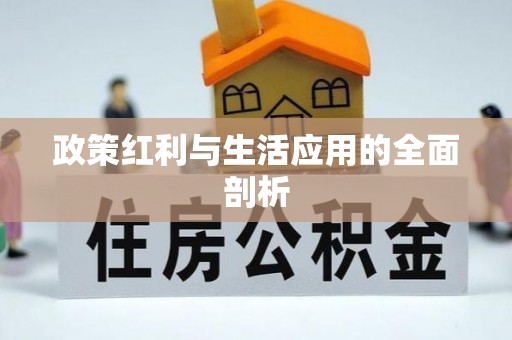 凤山政策红利与生活应用的全面剖析