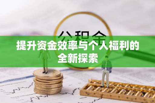 凤山提升资金效率与个人福利的全新探索