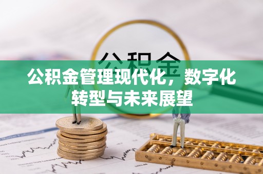 凤山公积金管理现代化，数字化转型与未来展望