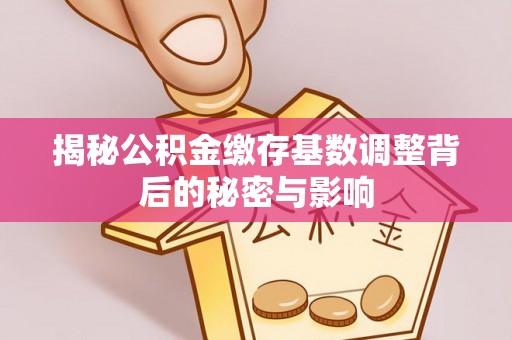凤山揭秘公积金缴存基数调整背后的秘密与影响