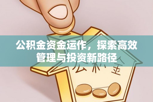 凤山公积金资金运作，探索高效管理与投资新路径
