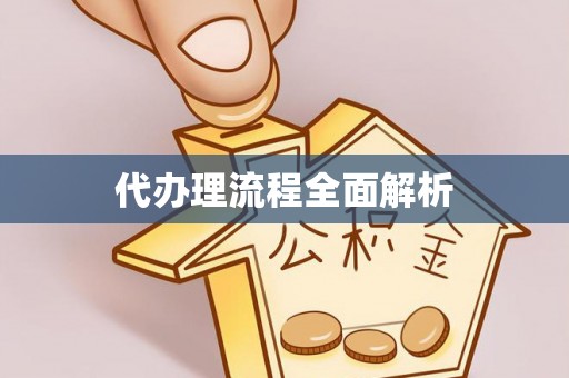 凤山代办理流程全面解析