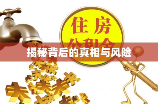 凤山揭秘背后的真相与风险