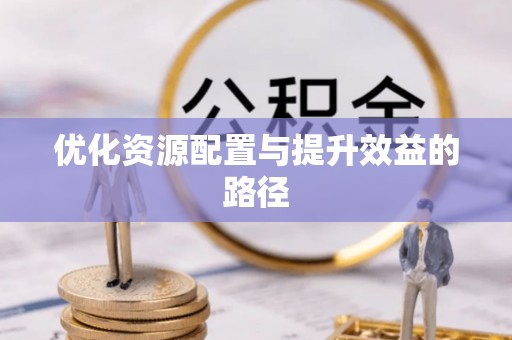 凤山优化资源配置与提升效益的路径