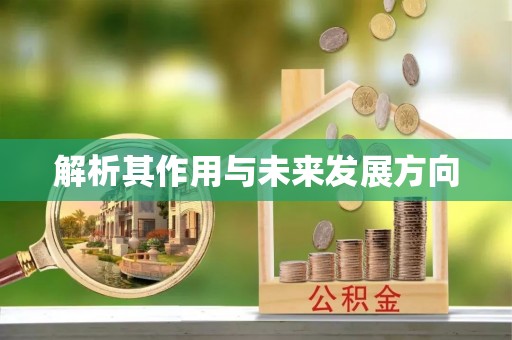 凤山解析其作用与未来发展方向