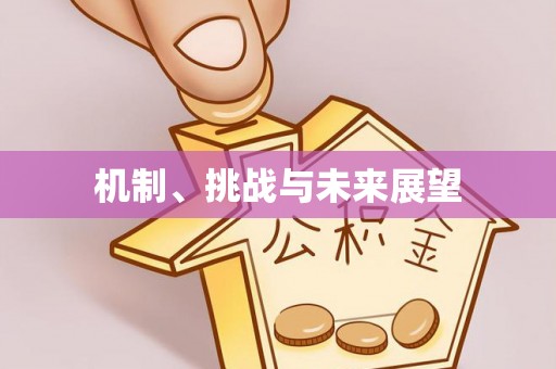 凤山机制、挑战与未来展望