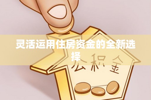 凤山灵活运用住房资金的全新选择